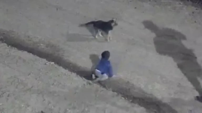 Video: policías de Córdoba rescataron a un bebé que gateaba solo por la calle en plena madrugada