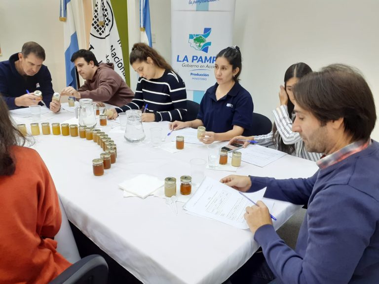 Un dulce avance: proyecto interinstitucional busca diferenciar mieles pampeanas en el mercado