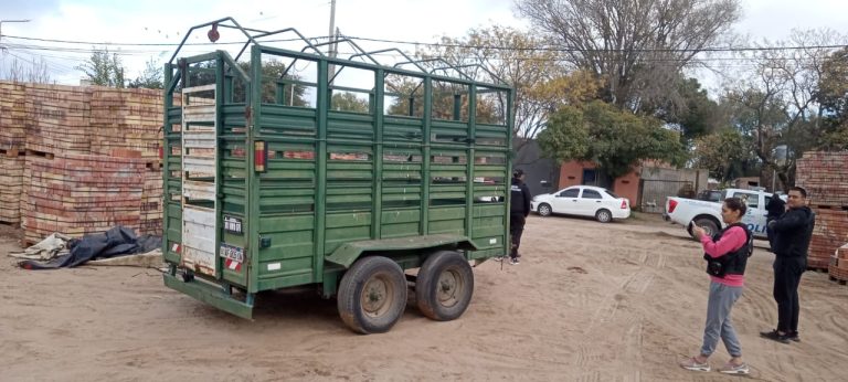 Robo de tráiler en Colonia Barón: detalles de la Investigación y recuperación del carro valuado en 6 millones de pesos