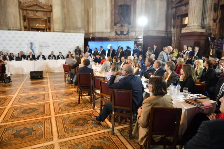 Ley de Bases y paquete fiscal: el Senado entró en cuarto intermedio hasta el lunes