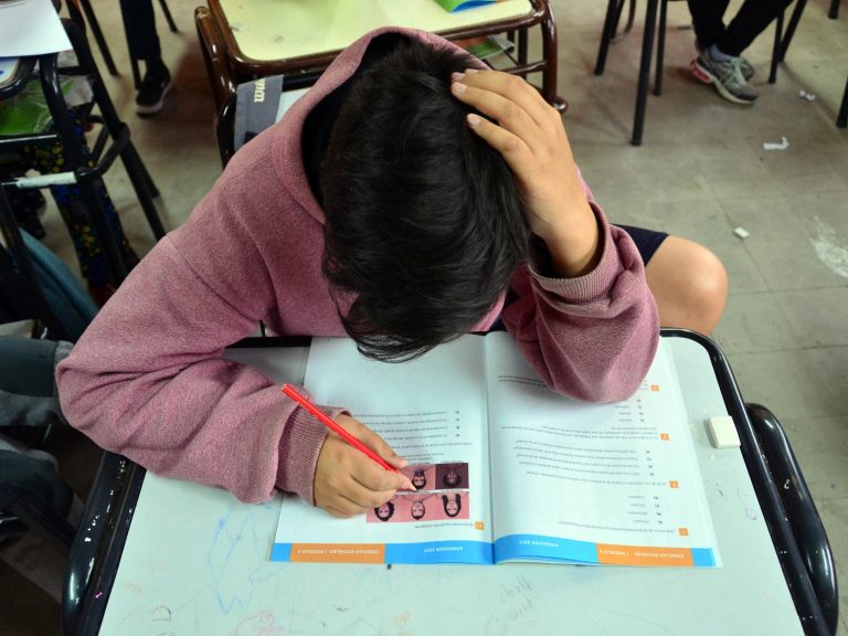 En Argentina 22 de cada 100 chicos de 15 años transitan su escolaridad en tiempo y forma