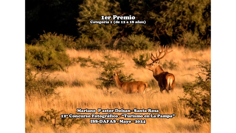 “Turismo en La Pampa”: Mirá las fotografías premiadas en el concurso de DAFAS