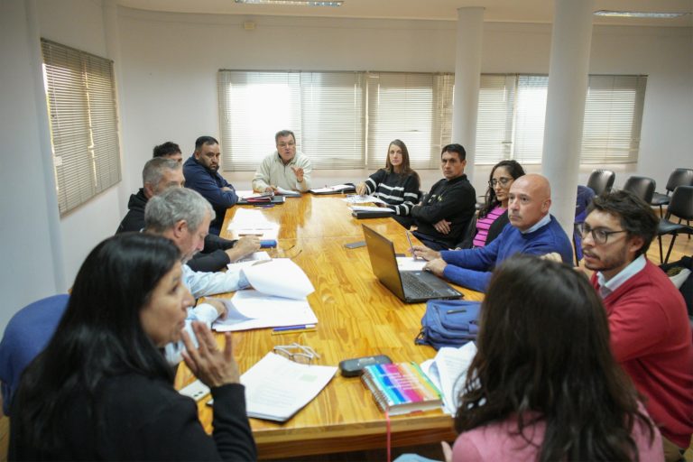 Reunión del consejo de tránsito: avanza el proyecto de ordenanza para la creación del programa “conductor designado”