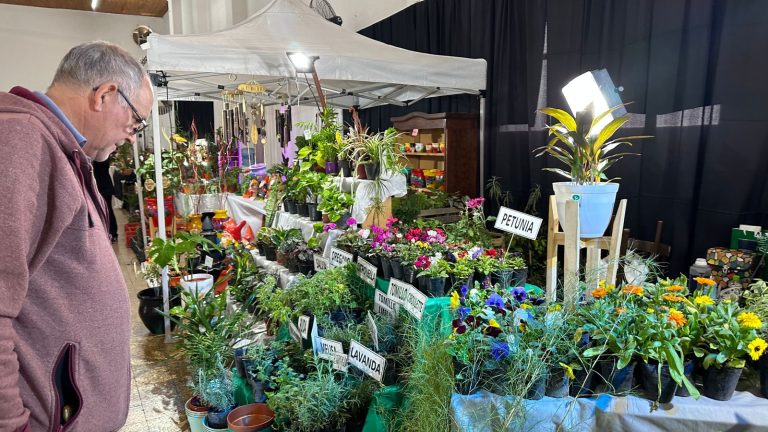 Participá de las charlas abiertas de la 3° edición de la Expo Verde Otoño