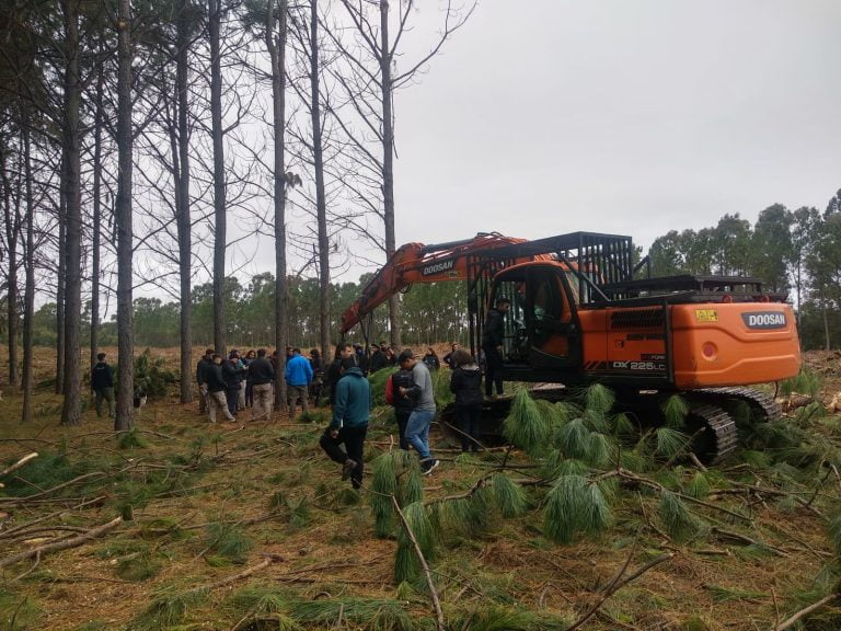 “Resulta interesante observar la potencialidad que tiene la forestación en la Provincia”, señaló el Director General de Recursos Naturales