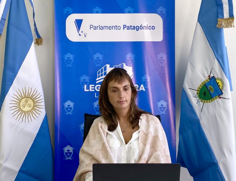 Finalizó el primer encuentro del Parlamento Patagónico en el que se rechazó al DNU 70/23