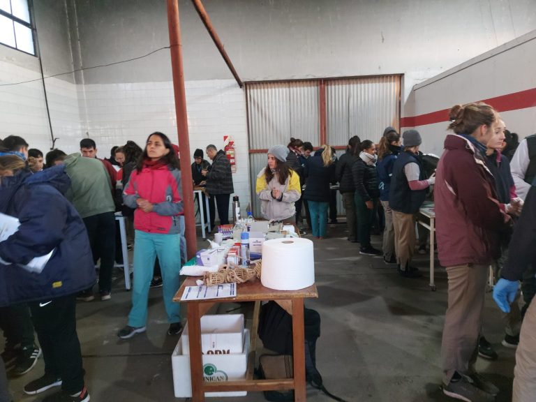 Evaluación integral de salud animal en Intendente Alvear: colaboración entre la UNLPam y la Municipalidad