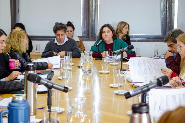 Debate legislativo: comisión emite dictámenes sobre despidos, convocatoria presidencial y derechos laborales