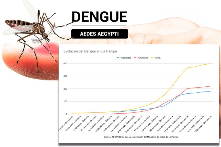 La evolución de los casos de dengue en La Pampa durante 2024