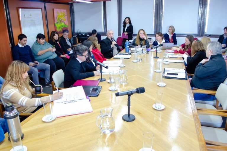 Diputados La Pampa: descartan solicitud de Ley Nacional para vacunación obligatoria contra el dengue
