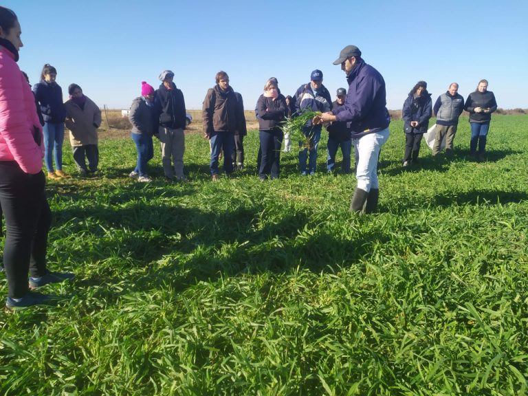 Manejo ganadero en Anguil: “la capacitación fue pensada en un trabajador rural que puede emplearse en un establecimiento ganadero”, explicaron desde INTA