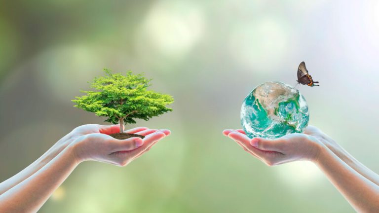 El miércoles se conmemora el Día Mundial del Ambiente y en General Pico se harán actividades para promover la conciencia y el cuidado ambiental