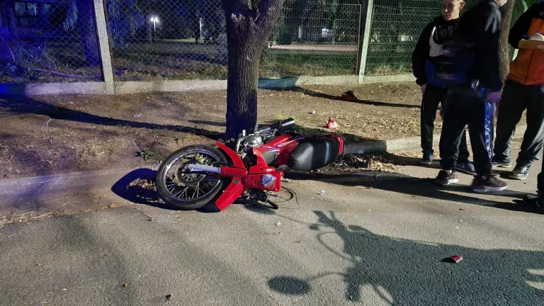 Motociclista chocó contra un árbol esta madrugada