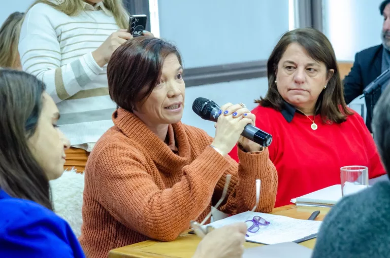 Avanzan en la regulación del ejercicio de kinesiología y fisioterapia en sesión de comisiones legislativas pampeanas