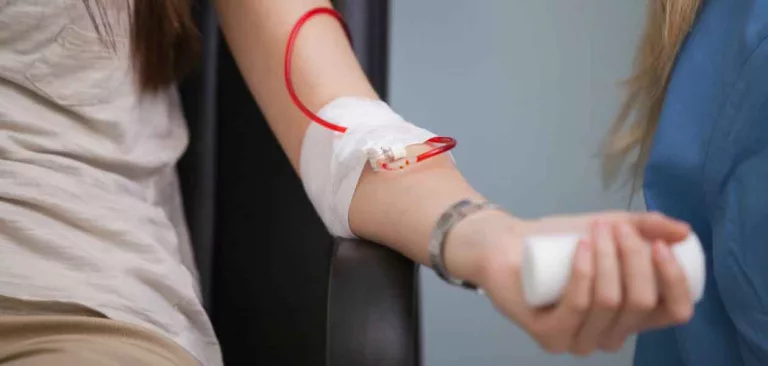 Día Mundial del Donante de Sangre: este viernes habrá una colecta en la Facultad de Ciencias Veterinarias