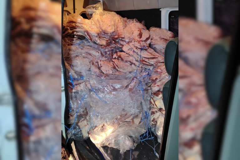 En 25 de mayo, Seguridad Rural decomisó 359 costillares