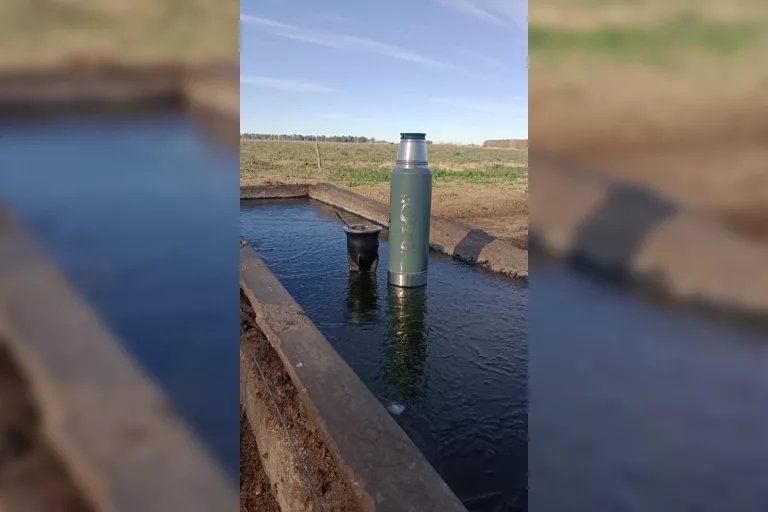 Helada mañana en Speluzzi: el mate como compañero en el frío campo pampeano