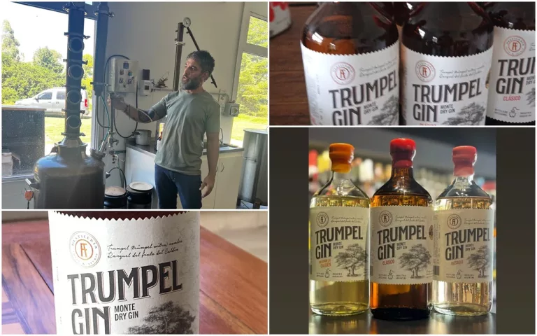 El Gin Trumpel, elaborado en Quemú Quemú, ganó un nuevo premio internacional: “le pusieron 90 puntos sobre 100 y logramos la medalla de plata”, contó Juan Arias