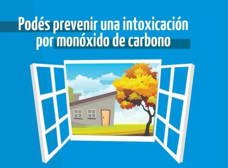 ¡Atención!: mirá cómo evitar intoxicaciones por monóxido de carbono