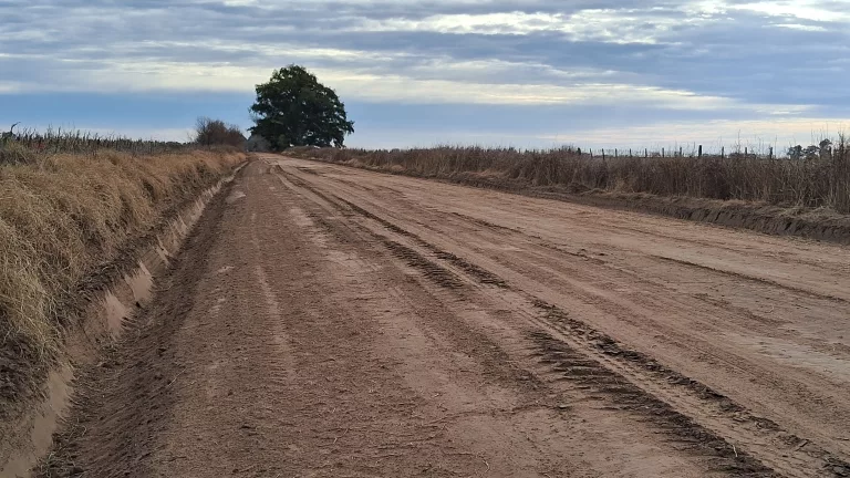 Intendente Alvear: avance en la reparación de la red terciaria y mantenimiento de canales