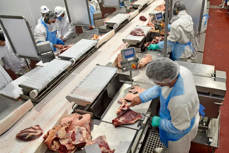 Caen las exportaciones de La Pampa en un 18% durante el primer trimestre de 2024: ¿Qué está pasando?