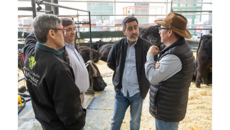 La Pampa reafirma su liderazgo ganadero en la Exposición Rural de Palermo 2024