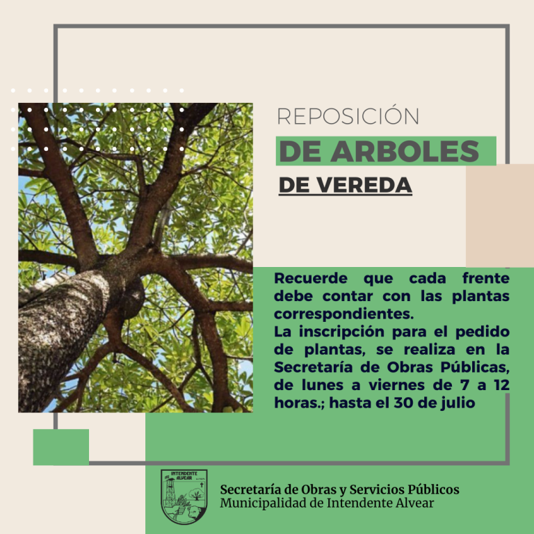 Intendente Alvear: reposición de árboles de vereda y espacios verdes de la localidad