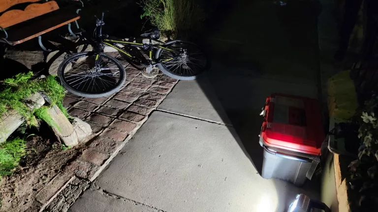 Robó bicicleta y la dejó abandonada tras presencia policial