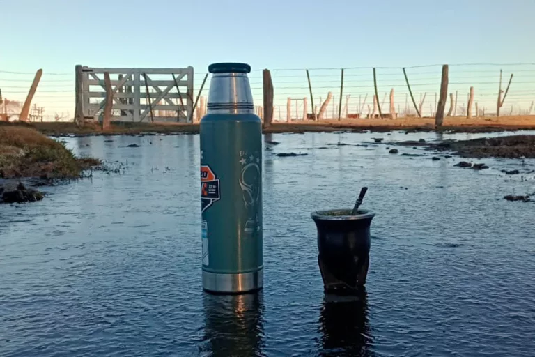 La ola de frío se siente en General Pico: una mañana helada