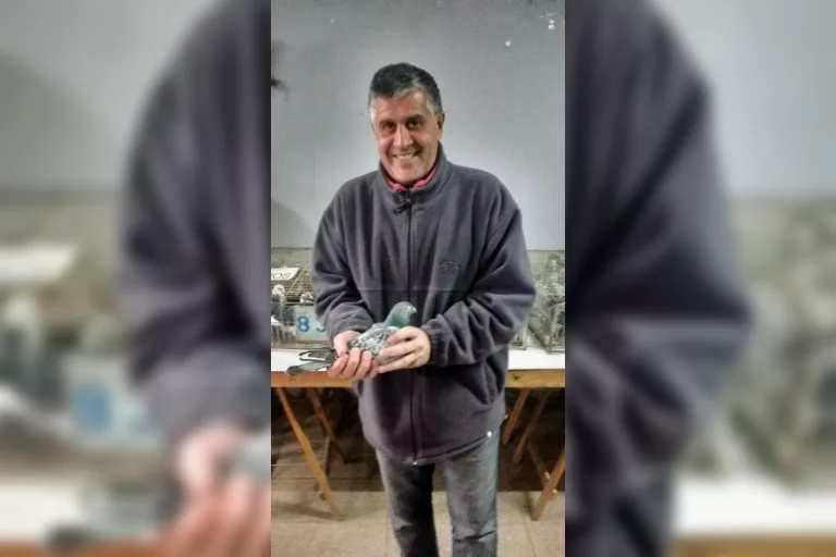 Colombofilia: “Alas Heroicas” hace valer la experiencia