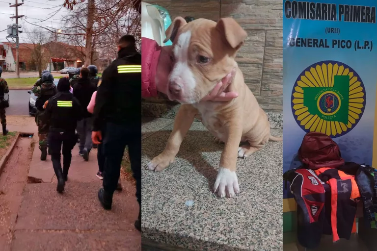 Robo en Barrio Rucci: detuvieron a un sospechoso y recuperaron a un cachorro de 60 días que habían robado