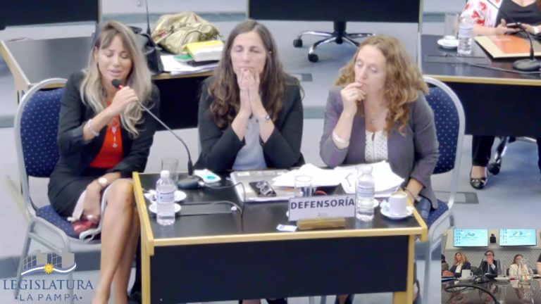 [VIDEO] Las últimas palabras de la jueza y la asesora de menores en el jury por mal desempeño en el caso Lucio Dupuy