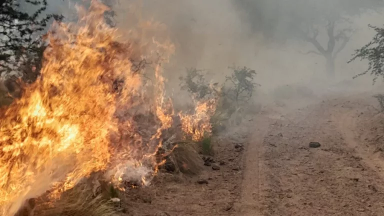 Último plazo para solicitudes de quema de pastizales y extensión para quema de bosque/monte