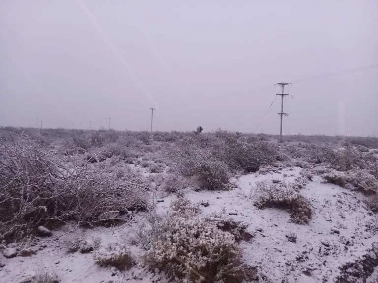 Nevada al sudoeste de La Pampa: “El Corcovo” amaneció cubierto de blanco