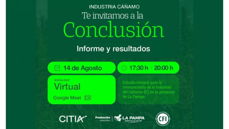 Estudio sobre el cáñamo en la Provincia: Producción y el CFI compartirán los resultados en un evento virtual