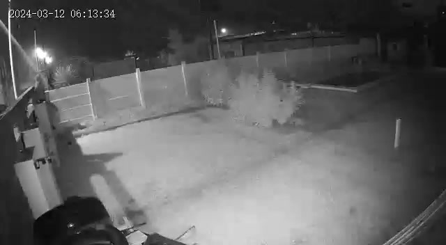 VIDEO | Un médico de General Acha disuadió a los tiros a un ladrón que entró a robarle plantas de cannabis sativa