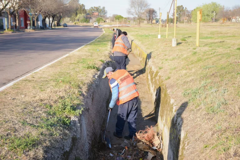 Jornada de limpieza integral en barrio Talleres: más de 35 trabajadores mejoran el espacio urbano