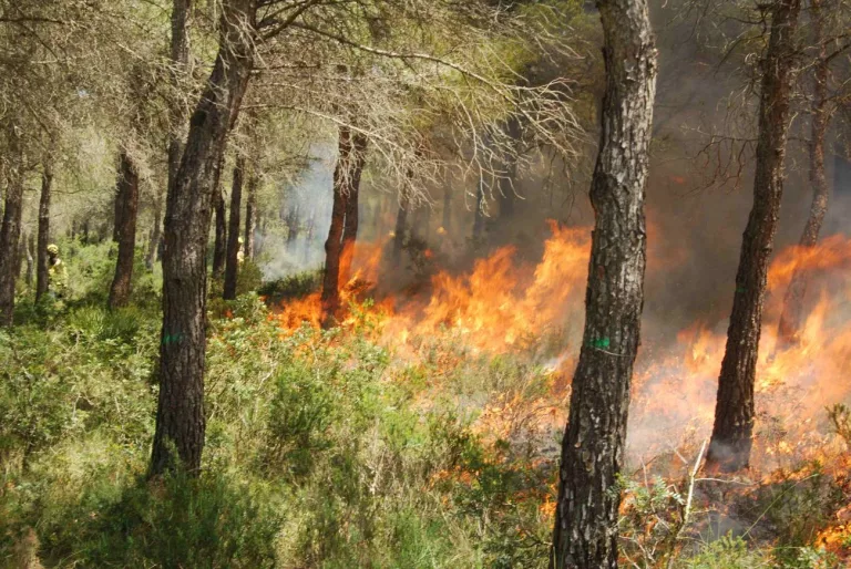 Defensa Civil se prepara para la temporada de incendios en La Pampa con tecnología y un presupuesto de 500 millones para picadas