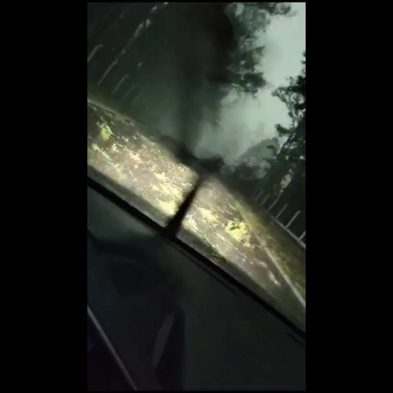 La tormenta causó destrozos en localidades del norte provincial