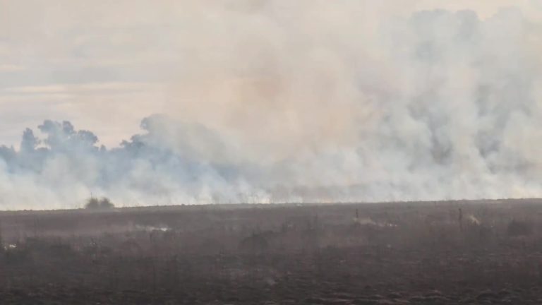 Bomberos combate fuego en el camino a la laguna