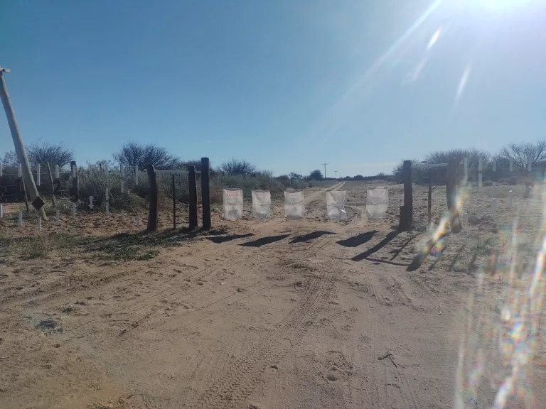Hurto entre Telén y La Pastoril: camioneros mendocinos sustrajeron dos tranqueras de campos ubicados sobre la ruta 10