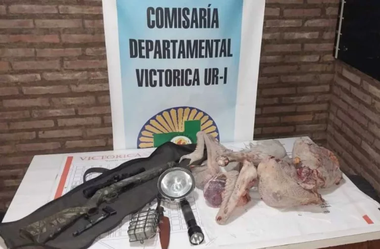 Trasladaban carne de ñandú y fueron interceptados en ruta 15