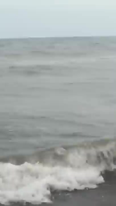 Aparecieron tiburones en Monte Hermoso