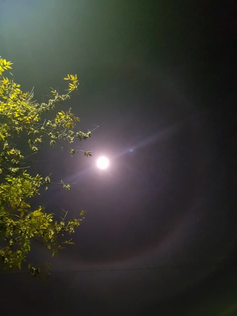 Se observa un halo lunar desde La Pampa ¿Lo viste?
