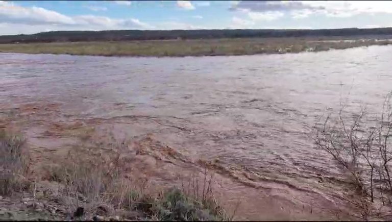 Río Colorado: “estamos en el pico la crecida”, dijo Juan Greco
