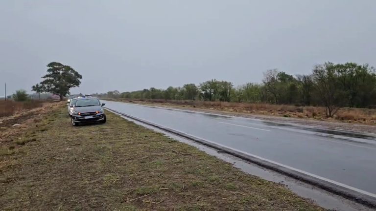 Grave accidente en ruta a metros de General Pico: Camioneta se estrelló contra un árbol