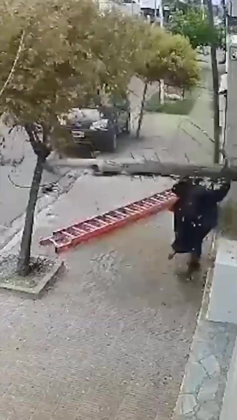 Video: un operario cayó desde un poste a más de 8 metros de altura en Tandil