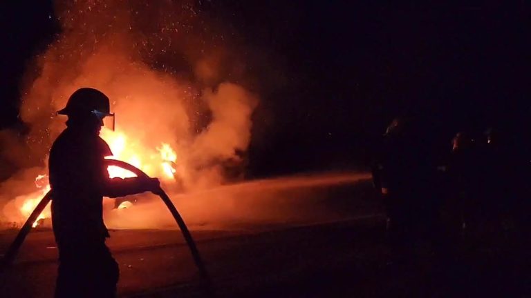 VIDEO | Un auto fue devorado por las llamas en plena ruta frente al Parque Apícola de General Pico