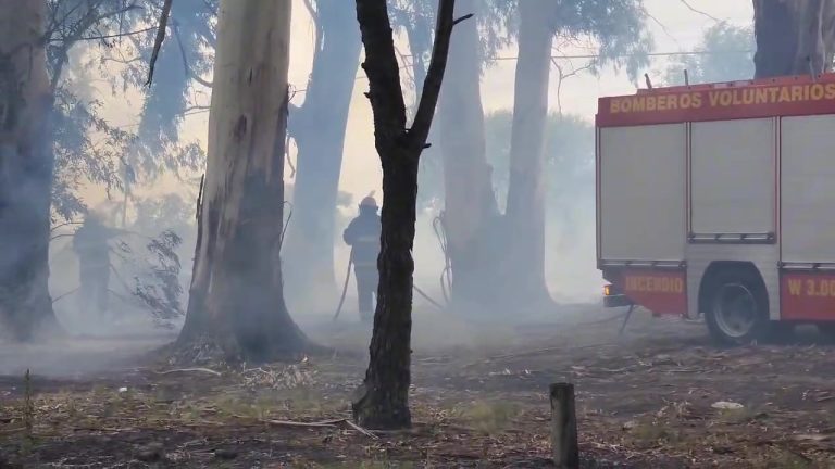 Un auto terminó incendiado en cercanías al predio del SATSAID