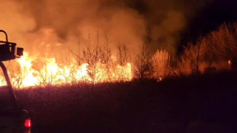 VIDEO | Importante incendio de pastizales en Trebolares disminuye la visibilidad en la ruta